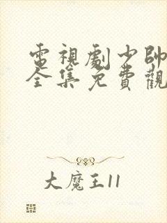 电视剧少帅48全集免费观看第一季