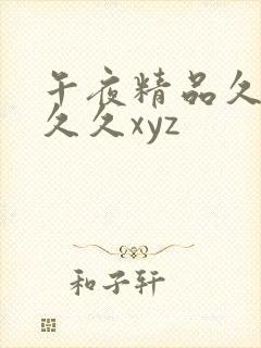 午夜精品久久久久久xyz