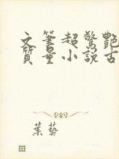 文笔超惊艳的高质量小说古代言情