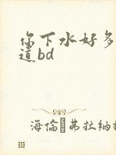 你下水好多下水道bd