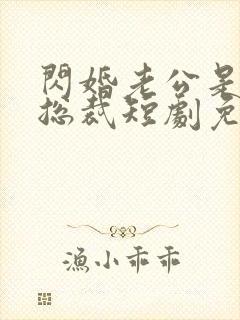 闪婚老公是千亿总裁短剧免费观看