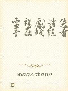 电视剧消失的凶手在线观看完整版免