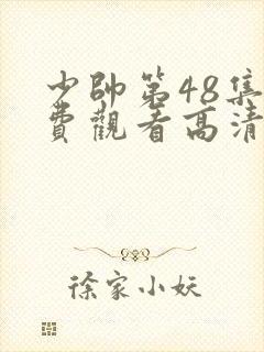 少帅第48集免费观看高清