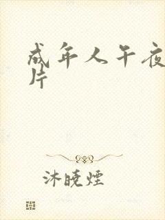 成年人午夜激情片