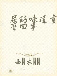 尿的味道重是怎么回事