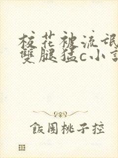 校花被流氓扒开双腿猛c小说