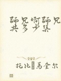 师兄啊师兄动漫共多少集