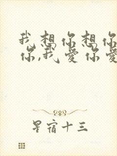 我想你想你想着你,我爱你爱你爱着你