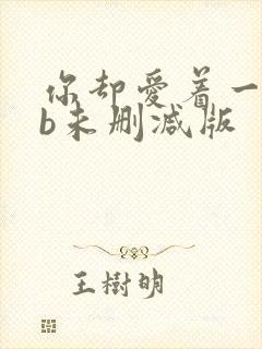 你却爱着一个sb未删减版