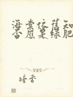 海棠依旧知否知否应是绿肥红瘦