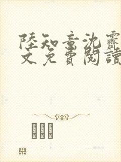 陆知意沈霁川全文免费阅读