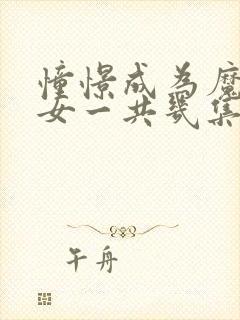 憧憬成为魔法少女一共几集