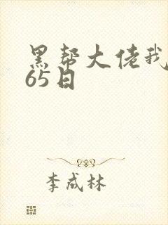黑帮大佬我的365日