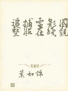 追捕电影国语完整版在线观看免费