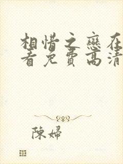 相惜之恋在线观看免费高清完整版封面