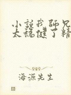 小说我师兄实在太稳健了精校版