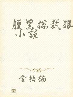 腹黑总裁狠给力 小说