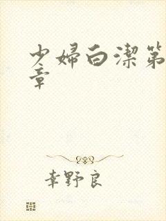 少妇白洁第十七章封面