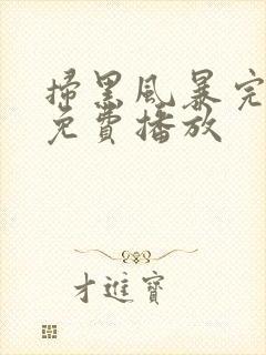 扫黑风暴完整版免费播放