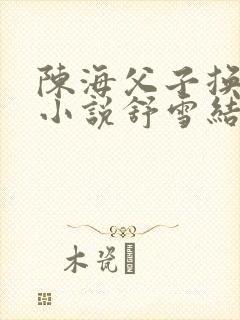 陈海父子换老婆小说舒雪结局