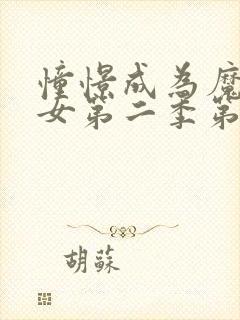 憧憬成为魔法少女第二季第封面