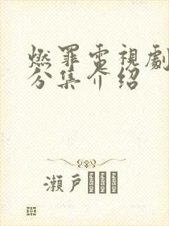 燃罪电视剧剧情分集介绍