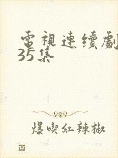 电视连续剧娘道35集