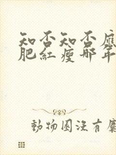 知否知否应是绿肥红瘦哪年拍的