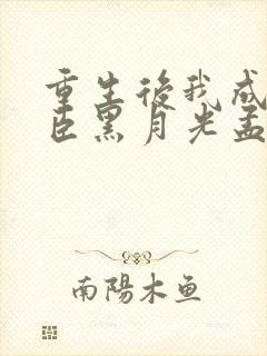 重生后我成了权臣黑月光孟芊芊