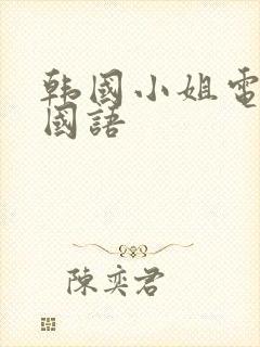 韩国小姐电视剧国语封面