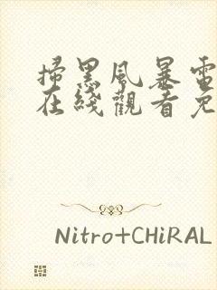 扫黑风暴电视剧在线观看免费完整版高清