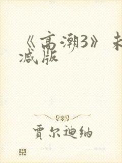 《高潮3》未删减版封面
