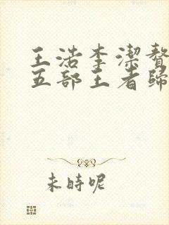 王浩李洁赘婿第五部王者归来