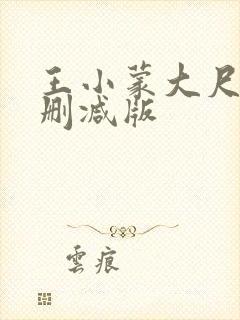 王小蒙大尺度未删减版