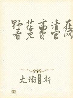 野花高清在线观看免费官网1