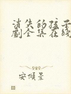 消失的孩子电视剧全集在线看免费