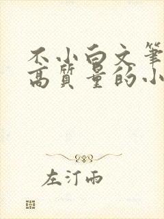 不小白文笔好的高质量的小说