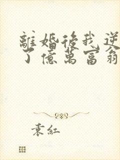 离婚后我逆袭成了亿万富翁封面