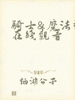 骑士&魔法动漫在线观看