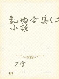 乱肉合集(二)小说