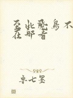 至此飞鸟不相逢在哪看