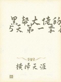 黑帮大佬的365天第一季在线观看