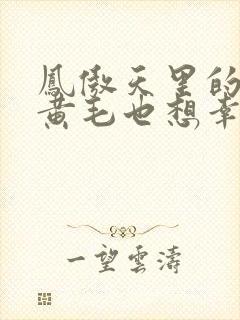 凤傲天里的反派黄毛也想幸福小说