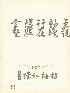 金爆行动免费完整版在线观看封面