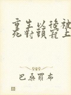 重生以后被渣男死对头宠上天