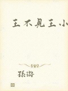 王不见王小说封面