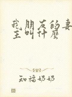 我朋友的妻子女主叫什么