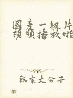 国产一级片内射视频播放啪啪视频,快插