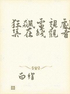 狂飙电视剧40集在线观看免费播放