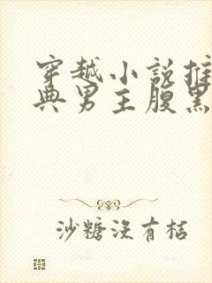 穿越小说推荐经典男主腹黑